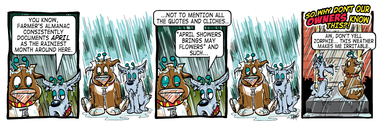 Fools in the Rain