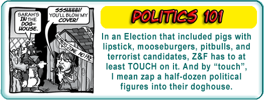politics