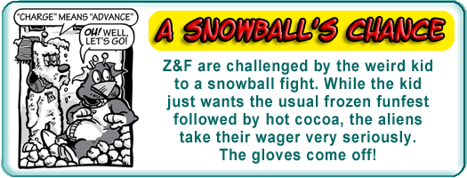 snowfight