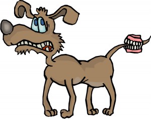 dogteeth dogteeth
