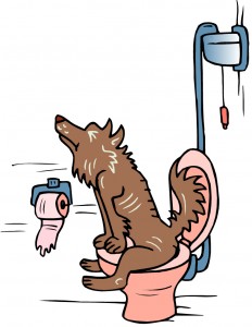 dogtoilet dogtoilet