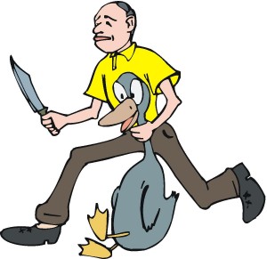 duck6 duck6